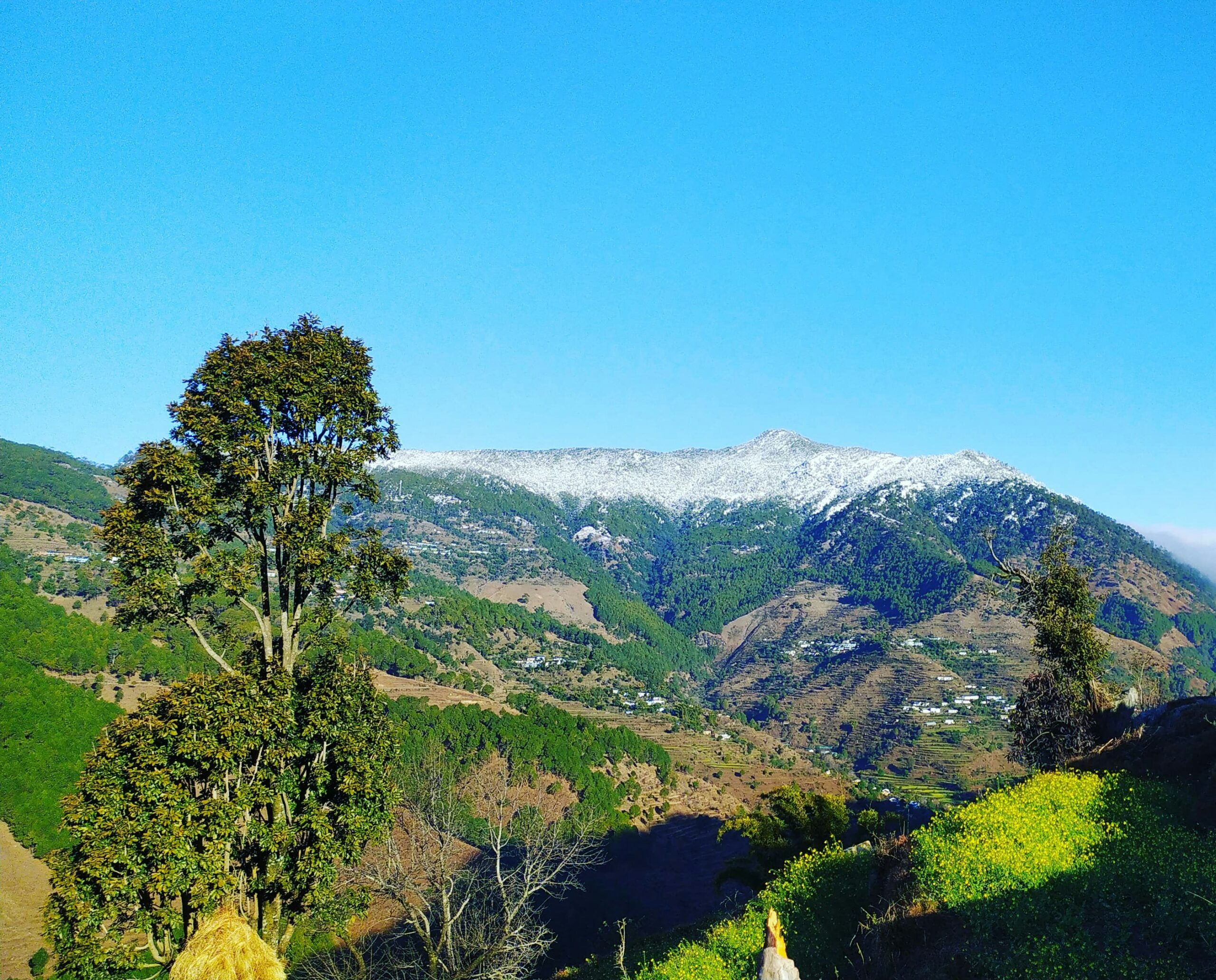 Dehradun to dhanaulti taxi